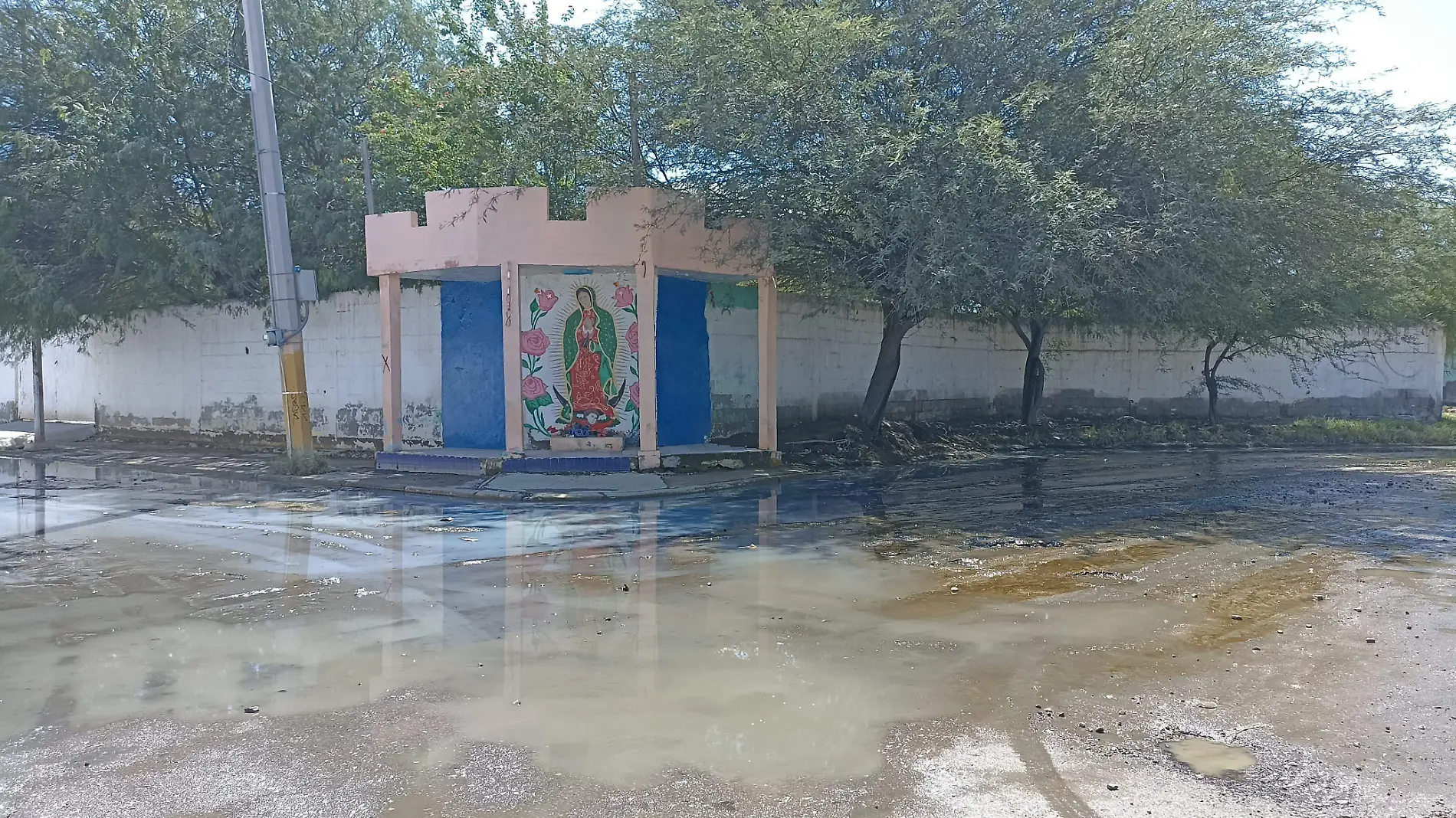 En las calles todavía hay aguas negras estancadas y mucho azolve, predominan los malos olores